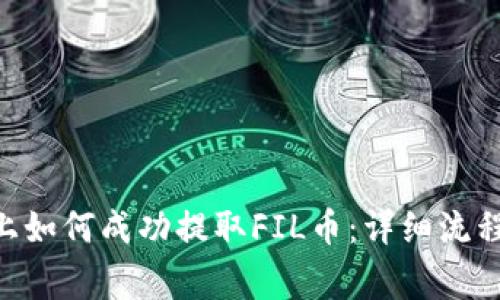 在Tokenim上如何成功提取FIL币：详细流程和注意事项